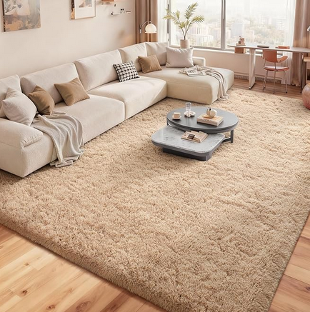 carpet for living room