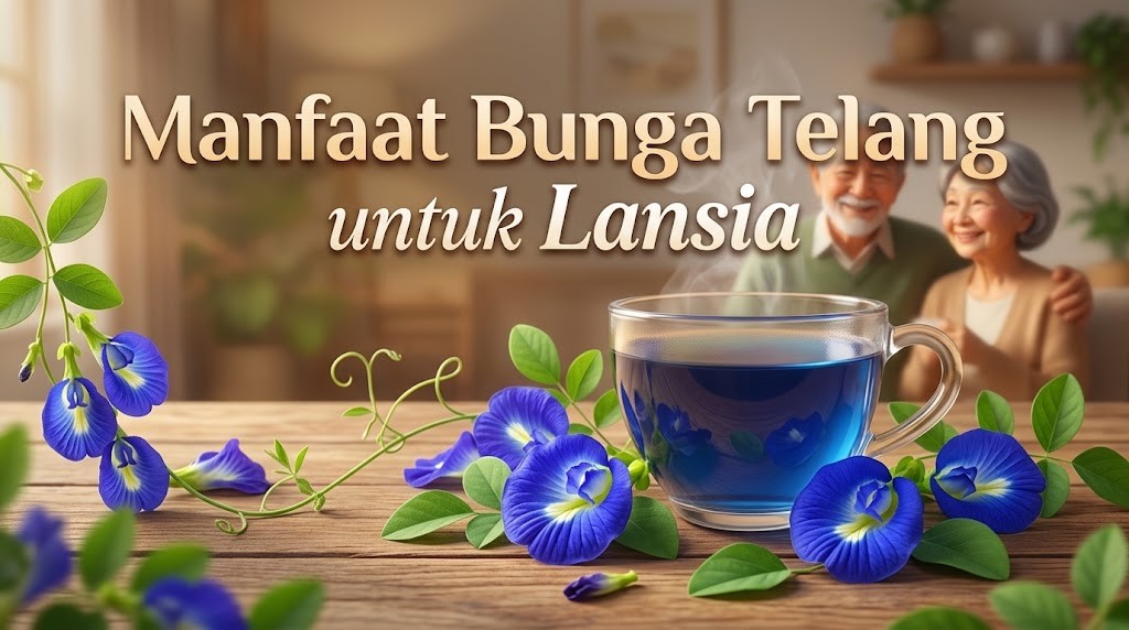 manfaat bunga telang